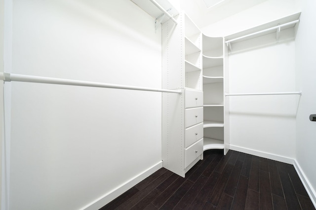 spacious closet with dark wood-type flooring