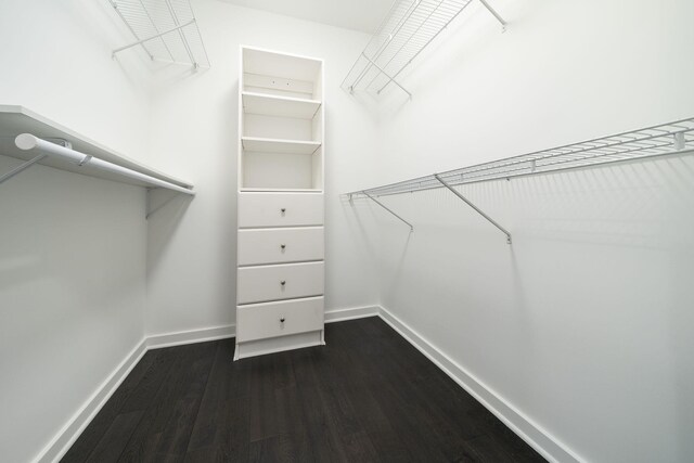 walk in closet featuring dark hardwood / wood-style floors