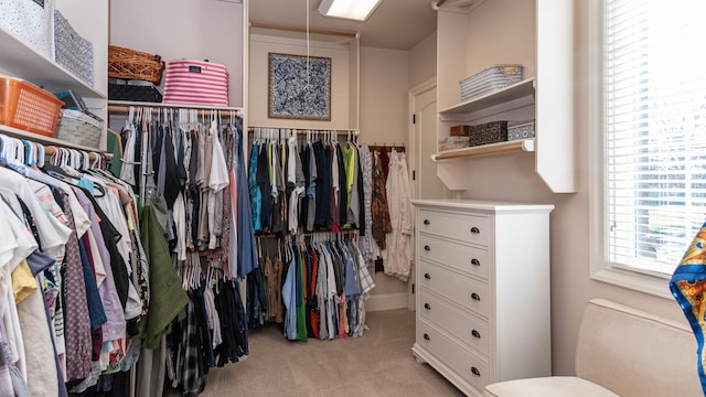 spacious closet with light carpet