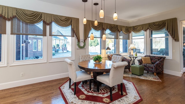 dining area featuring dark wood-type flooring