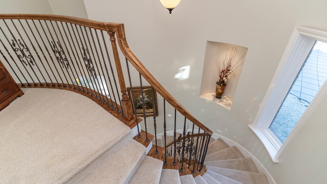 stairs with carpet flooring