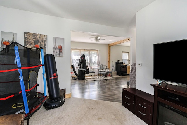 workout area featuring wood finished floors and a ceiling fan