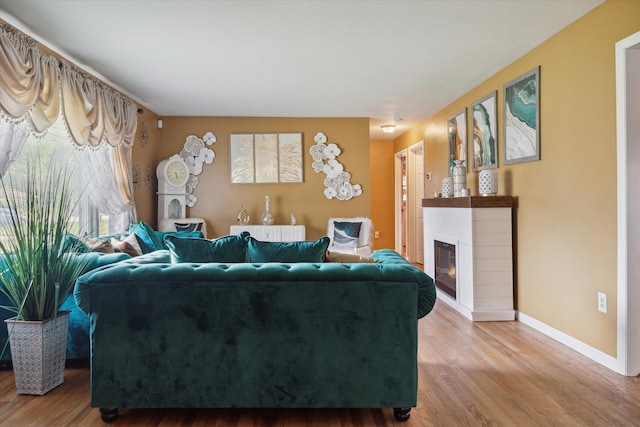 living room with hardwood / wood-style floors