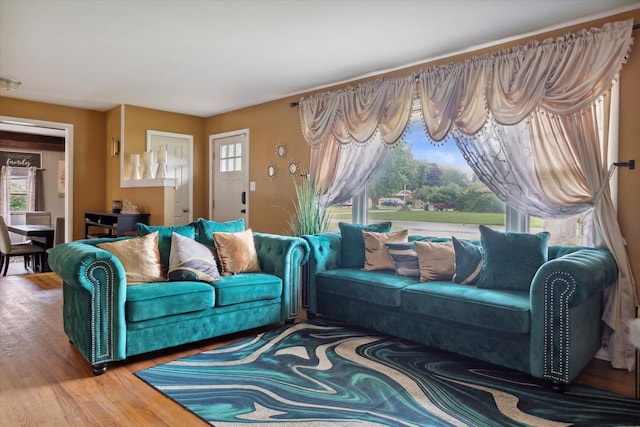 living room with wood-type flooring