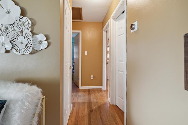 corridor with wood-type flooring