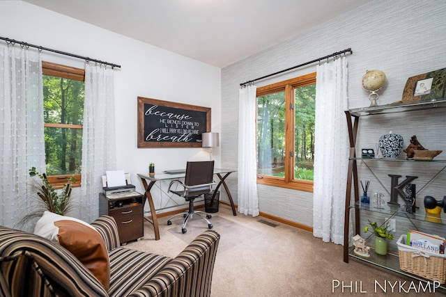 office area featuring plenty of natural light and light carpet