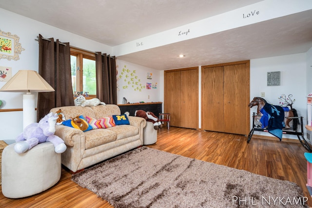 living room featuring hardwood / wood-style floors