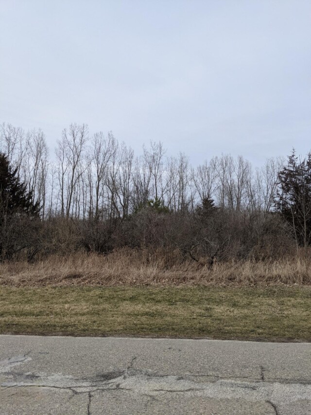TBD E Main St, Maple Rapids, MI 48853 - photo 14