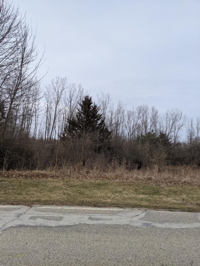 TBD E Main St, Maple Rapids, MI 48853 - photo 17