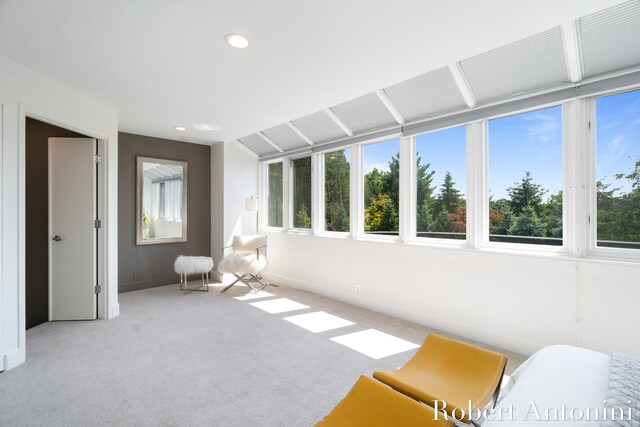 interior space with light colored carpet