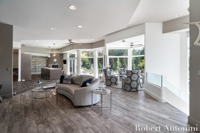 living room with ceiling fan and hardwood / wood-style floors