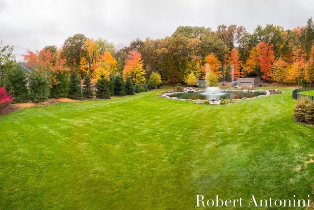 view of yard featuring a water view