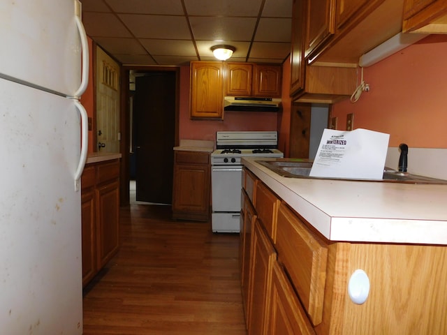 kitchen with a drop ceiling, white appliances, and dark hardwood / wood-style flooring