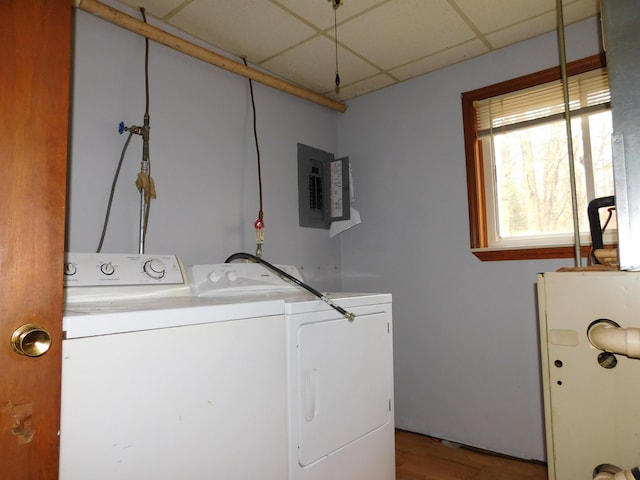 washroom with separate washer and dryer, hardwood / wood-style flooring, and electric panel