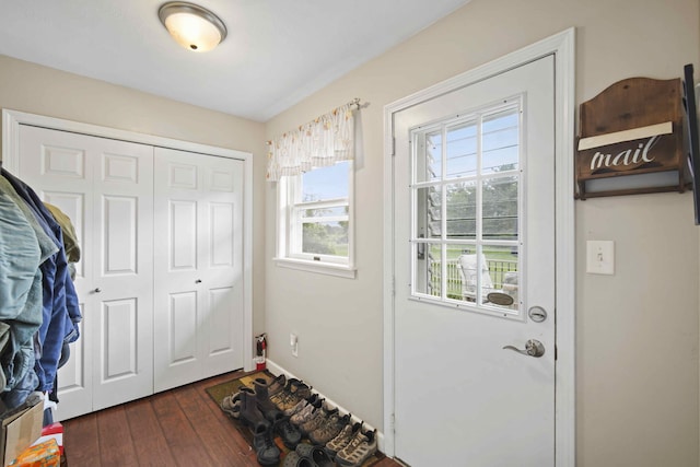 doorway to outside featuring dark wood-type flooring