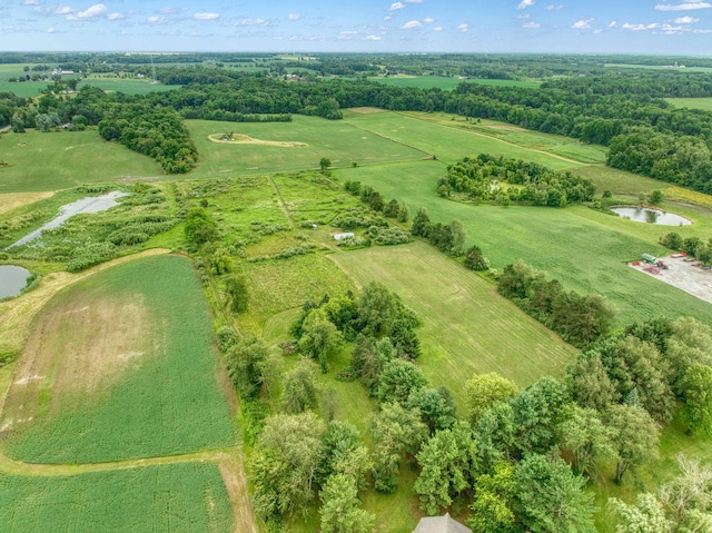 birds eye view of property with a water view and a rural view