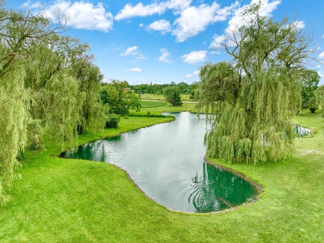 view of water feature