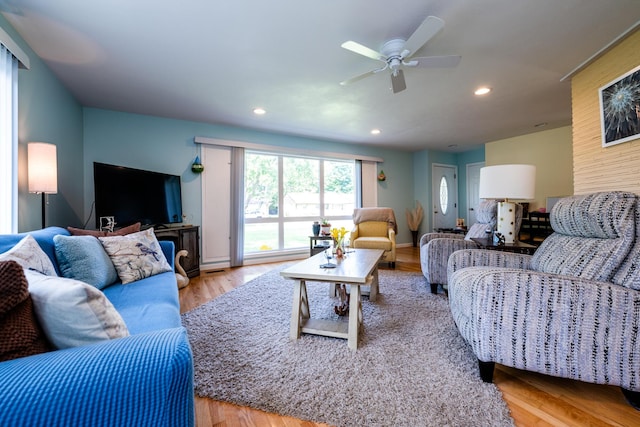 living room with ceiling fan and light wood-type flooring