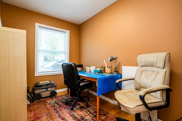 office featuring wood-type flooring