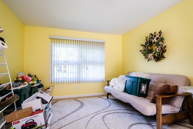 living area with carpet flooring