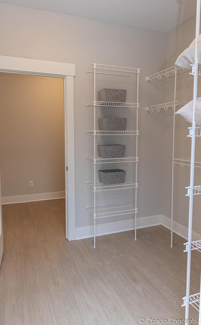 spacious closet with wood-type flooring