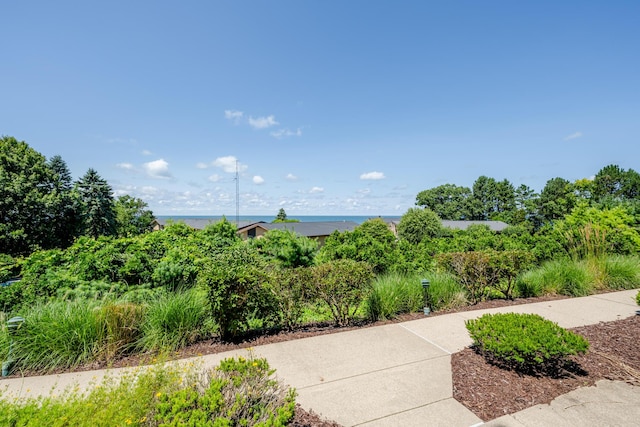 view of community with a water view