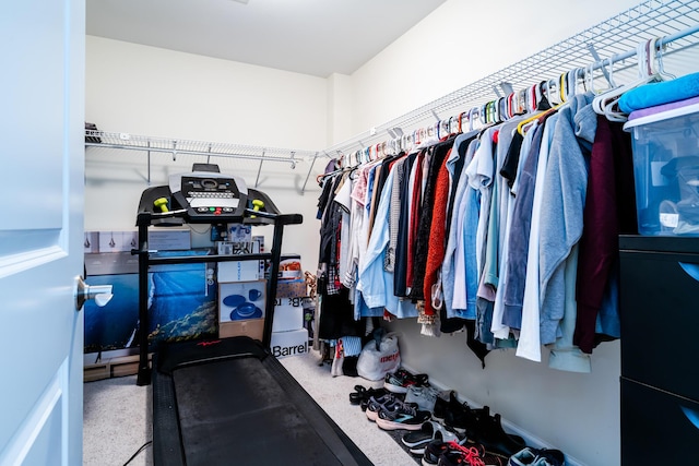 spacious closet featuring carpet floors