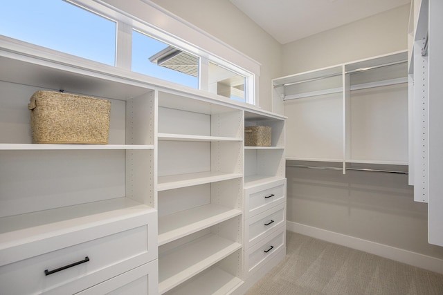 spacious closet featuring light colored carpet