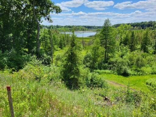 5464 Clear Lake Rd, Grass Lake MI, 49240 land for sale