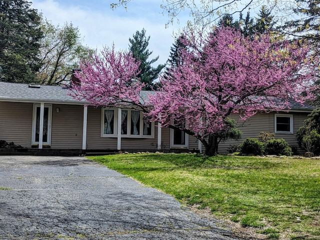 view of front of home with a front lawn