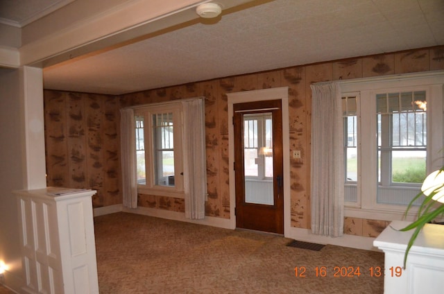 foyer entrance with carpet and a wealth of natural light