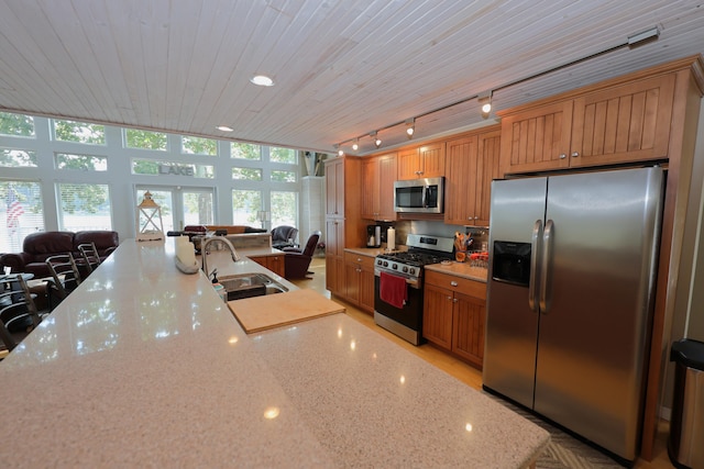 kitchen with light stone countertops, stainless steel appliances, sink, a wall of windows, and track lighting