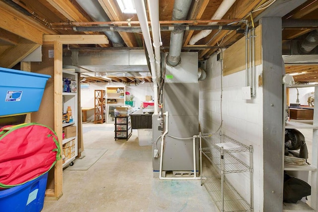 basement with heating unit