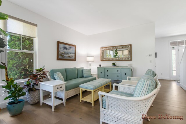 living room with dark hardwood / wood-style flooring and a wealth of natural light