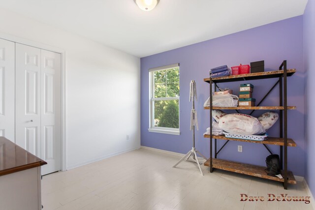 interior space featuring light hardwood / wood-style flooring