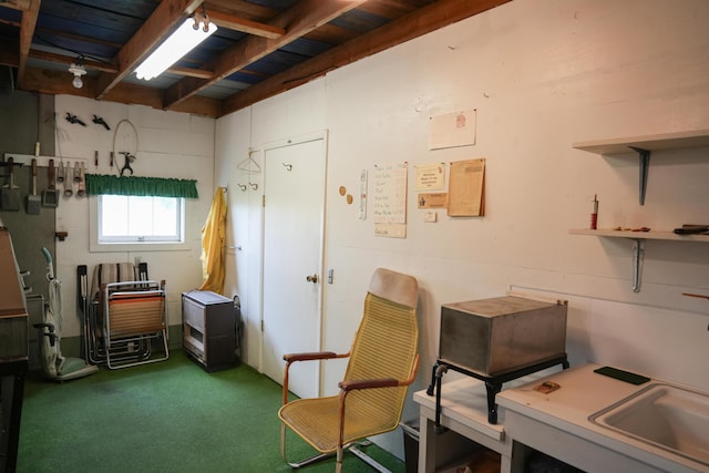 miscellaneous room with carpet flooring and sink