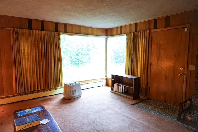 miscellaneous room featuring carpet flooring, a baseboard radiator, and wood walls