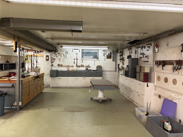 basement featuring a workshop area