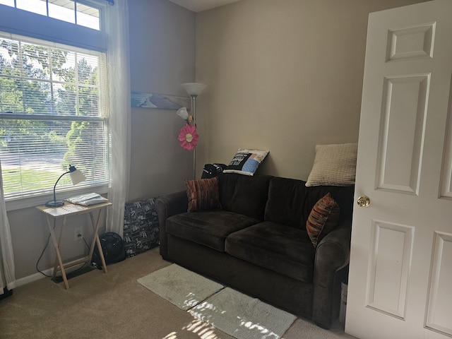 carpeted living room with plenty of natural light