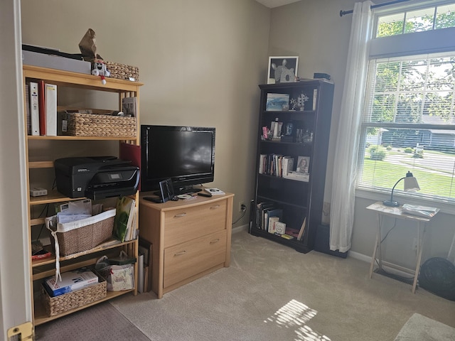 office space with light colored carpet