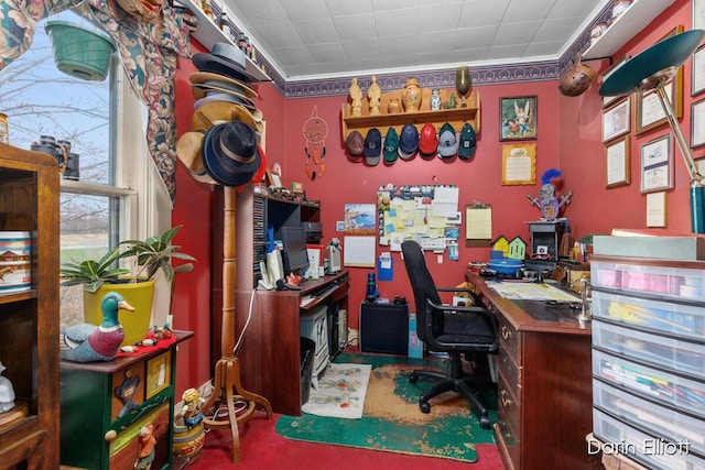 office space featuring crown molding