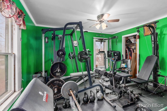 exercise room featuring a ceiling fan and crown molding