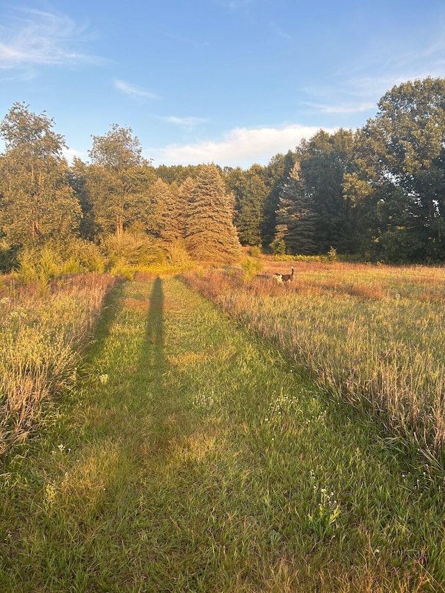 view of nature featuring a wooded view