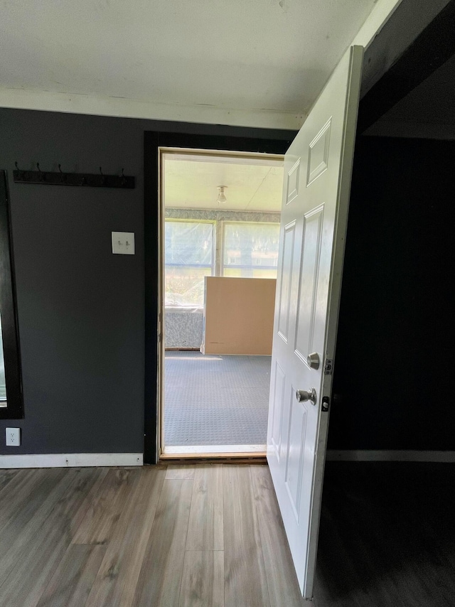 interior space featuring wood-type flooring