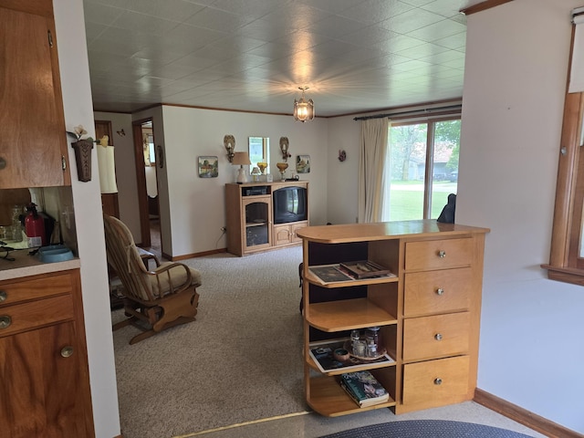 interior space with light colored carpet