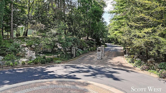 view of street featuring curbs