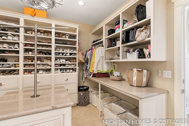 view of spacious closet