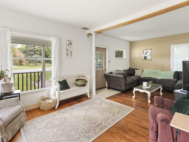 living room featuring hardwood / wood-style floors