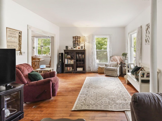 living room featuring plenty of natural light and wood-type flooring