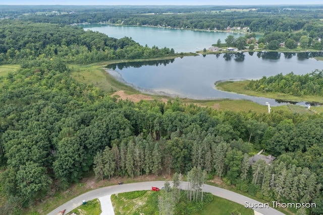 17163 Spruce Cove Trl, Gowen MI, 49326 land for sale